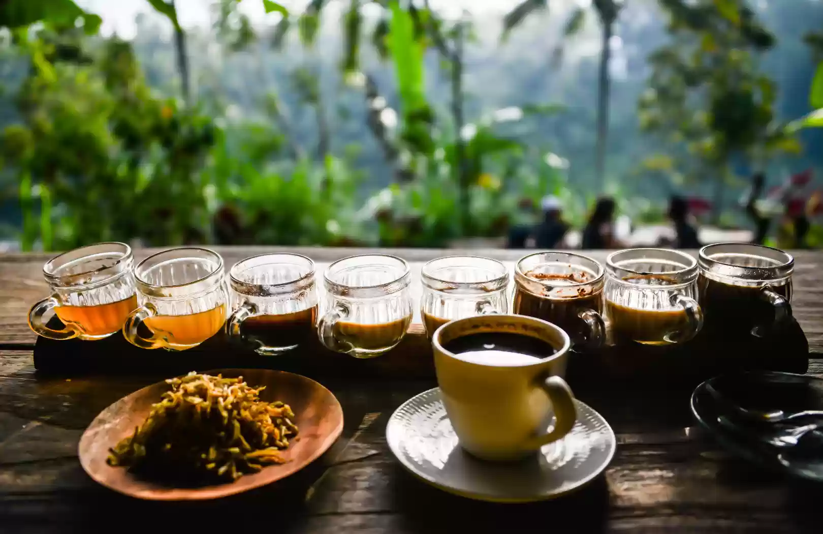 Coffee Luwak