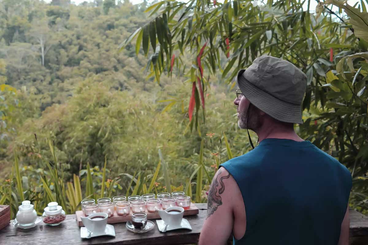 Luwak Coffee Plantation Ubud Tours
