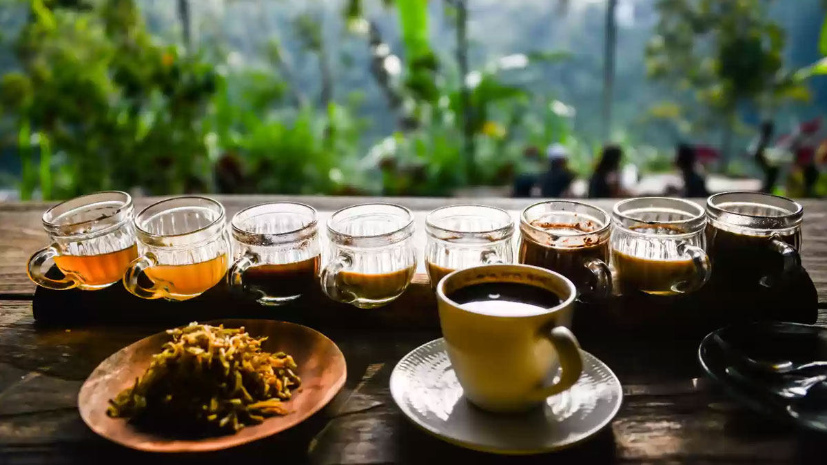 Luwak Coffeec Plantation-ubud-tours.jpg